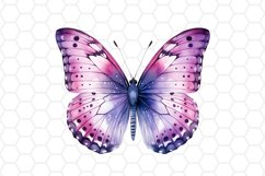 Purple Watercolor Butterfly Clipart