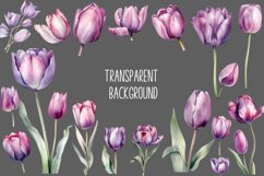 Purple Watercolor Tulip Clipart