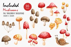 Watercolor Mushrooms Clipart, Woodland Mushroom clipart Product Image 3