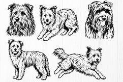 Pyrenean Shepherd SVG Bundle, 10 Berger des Pyrenees Designs Product Image 2