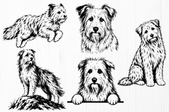 Pyrenean Shepherd SVG Bundle, 10 Berger des Pyrenees Designs Product Image 3