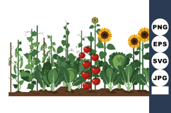 Vegetable garden with tomato plants and blooming sunflowers Product Image 1