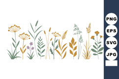 Wildflowers and Grasses Botanical Vector Illustration in Ear Product Image 1