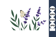 Butterfly perched on purple lavender flowers with green leav Product Image 1