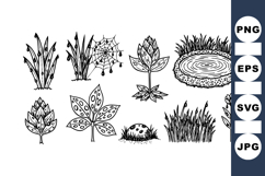 Hand Drawn Botanical Plant And Pond Clipart Set Product Image 1