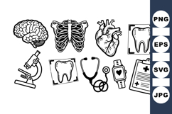 Medical Anatomy Vector Clipart Bundle For Health Designs Product Image 1