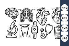Medical Anatomy Vector Clipart Bundle For Education Product Image 1
