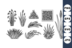 Hand Drawn Grass Vector Clipart Set for Nature Designs Product Image 1