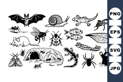 Hand Drawn Insect Clipart Bundle For Crafts Product Image 1