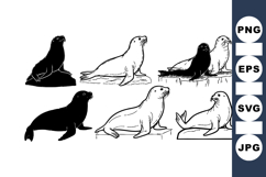 Minimalist Seal Silhouette Clipart Set For Crafts Product Image 1