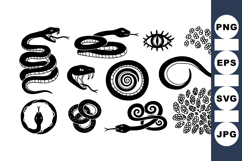 Vintage Snake Illustration Clipart Bundle for Crafts Product Image 1