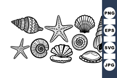 Vintage Seashell Clipart Bundle for Coastal Crafts Product Image 1