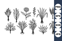 Hand Drawn Botanical Clipart For Crafts Product Image 1
