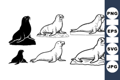 Hand Drawn Seal Clipart Bundle For Nautical Crafts Product Image 1