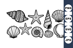Hand Drawn Vintage Seashell Clipart for Crafts Product Image 1