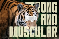 Qunko Product Image 6