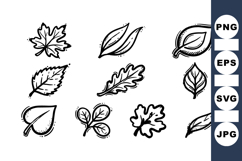 Hand Drawn Autumn Leaf Clipart Design Product Image 1