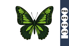 Green butterfly vector illustration with symmetrical wings a Product Image 1