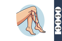 Human legs with visible veins and arteries medical vector il Product Image 1