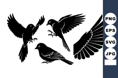 Black Bird Silhouettes Flying and Resting Wings Product Image 1