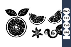 Black White Citrus Slices Star Anise Cinnamon Vector Product Image 1