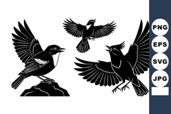 Black Silhouette Birds Flying Perched Rock Vector Product Image 1