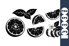 Black and White Lemon Slices Leaves Flower Vector Product Image 1