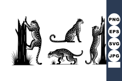 Black White Leopards Climbing Walking Vector Product Image 1