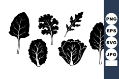 Vector Set Black Leafy Vegetables Silhouettes Product Image 1