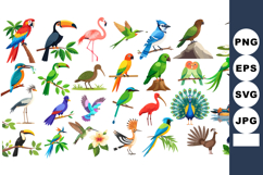 Exotic bird species vector collection featuring parrots, tou Product Image 1