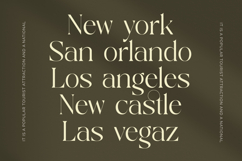 Qaisar - Elegant Serif Font Product Image 9