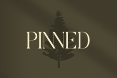 Qaisar - Elegant Serif Font Product Image 13
