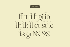 Qaisar - Elegant Serif Font Product Image 18
