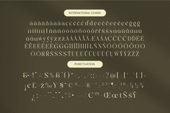 Qaisar - Elegant Serif Font Product Image 19