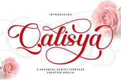 Qalisya Product Image 1