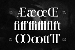 Qalisya Product Image 10