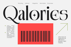 Qalories - Modern Serif Display Product Image 1