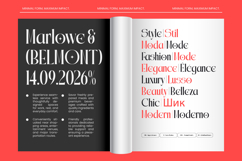 Qalories - Modern Serif Display Product Image 2