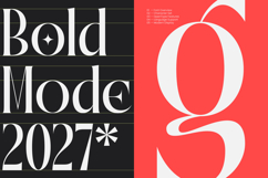 Qalories - Modern Serif Display Product Image 4