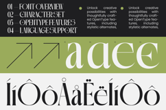Qalories - Modern Serif Display Product Image 5