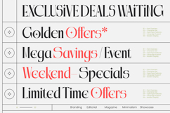 Qalories - Modern Serif Display Product Image 7