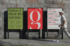 Qalories - Modern Serif Display Product Image 8