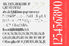 Qalories - Modern Serif Display Product Image 10