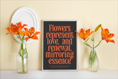 Qandera - Modern Display Serif Font Product Image 7