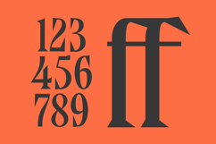 Qandera - Modern Display Serif Font Product Image 10