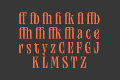 Qandera - Modern Display Serif Font Product Image 11