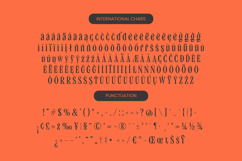 Qandera - Modern Display Serif Font Product Image 14
