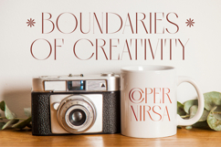 Qasnors - Modern Display Serif Product Image 3