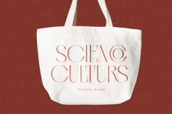 Qasnors - Modern Display Serif Product Image 4