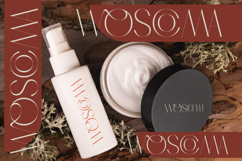 Qasnors - Modern Display Serif Product Image 6